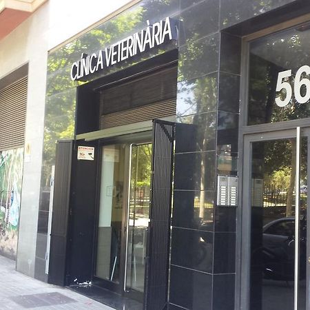 Bbarcelona Apartments Ciutadella Flat 外观 照片